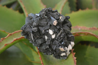 Natural Schorl Black Tourmaline Specimens x 6 From Erongo, Namibia - Toprock Gemstones and Minerals 