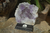 Natural Jacaranda Amethyst Clusters x 2 From Zambia - Toprock Gemstones and Minerals 
