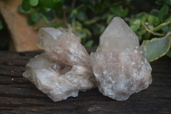 Natural Cascading White Phantom Smokey Quartz Clusters  x 6 From Luena, Congo - Toprock Gemstones and Minerals 