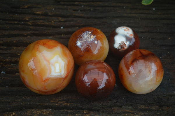 Polished Vibrant Carnelian Agate Spheres  x 5 From Madagascar - Toprock Gemstones and Minerals 