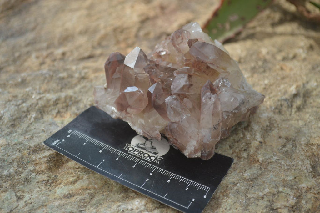 Natural Red Hematoid Quartz Specimens x 6 From Karoi, Zimbabwe - Toprock Gemstones and Minerals 