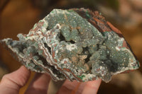 Natural Drusy Coated Ball Malachite On Dolomite Specimens  x 2 From Likasi, Congo - Toprock Gemstones and Minerals 