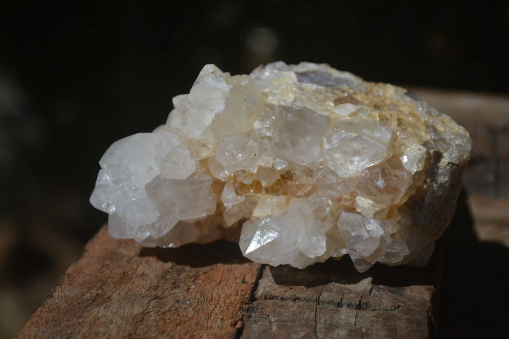 Natural Mixed Spirit Quartz Clusters  x 6 From Boekenhouthoek, South Africa - Toprock Gemstones and Minerals 