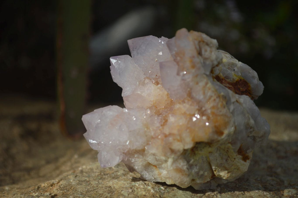 Natural Spirit Amethyst / Ametrine Quartz Clusters  x 6 From Boekenhouthoek, South Africa - Toprock Gemstones and Minerals 