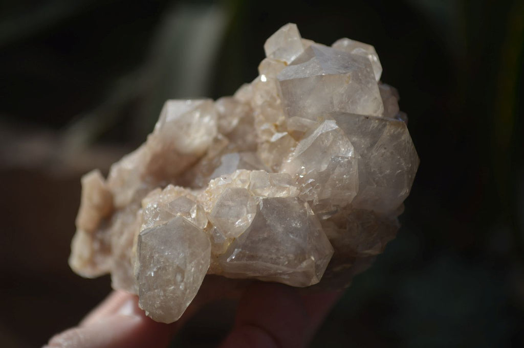 Natural Cascading Smokey Quartz Clusters x 3 From Luena, Congo - Toprock Gemstones and Minerals 