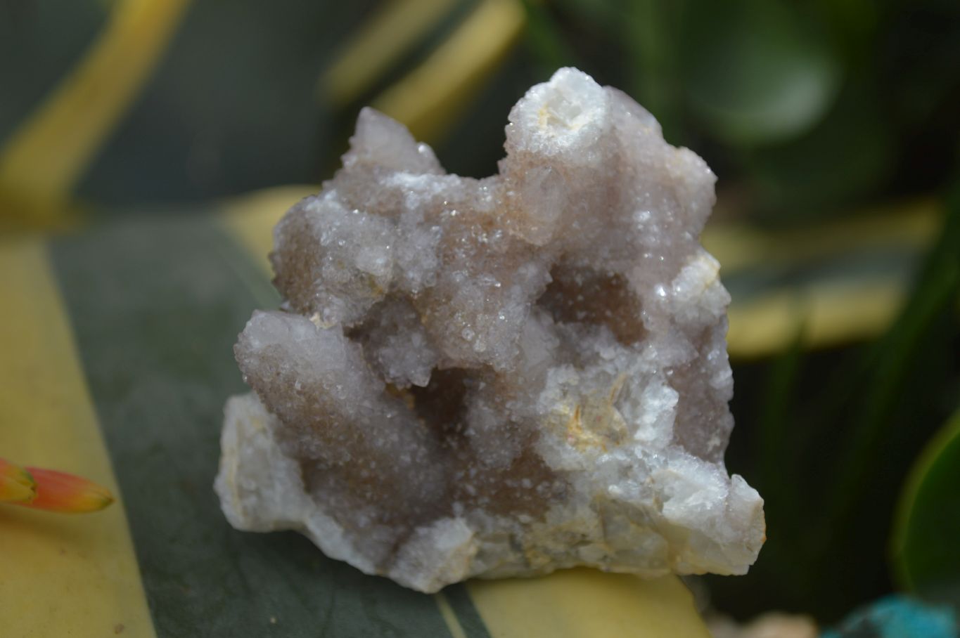 Natural Small Spirit Quartz Clusters  x 12 From Boekenhouthoek, South Africa - TopRock