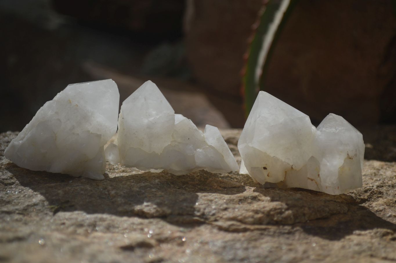 Natural Pineapple Candle Quartz Crystals  x 35 From Madagascar - Toprock Gemstones and Minerals 