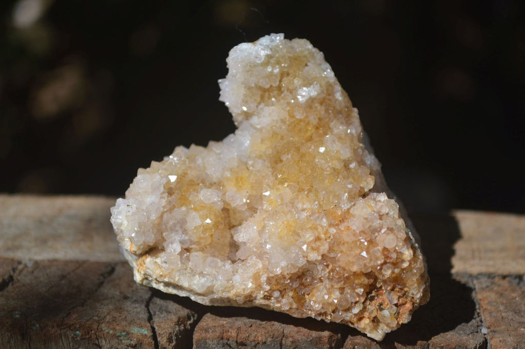 Natural Mixed Spirit Quartz Clusters  x 6 From Boekenhouthoek, South Africa - Toprock Gemstones and Minerals 