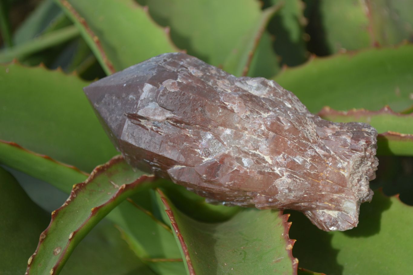 Natural Red Hematoid Quartz Specimens x 6 From Karoi, Zimbabwe - Toprock Gemstones and Minerals 