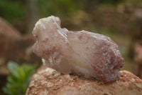 Natural Red Hematoid Quartz Specimens x 12 From Karoi, Zimbabwe - TopRock