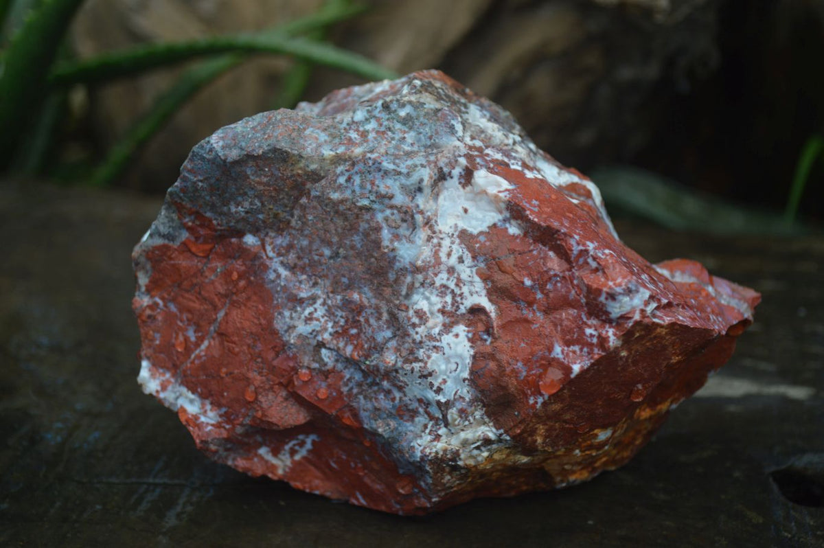 Natural Mixed Selection Of Rough Specimens  x 6 From Southern Africa - Toprock Gemstones and Minerals 