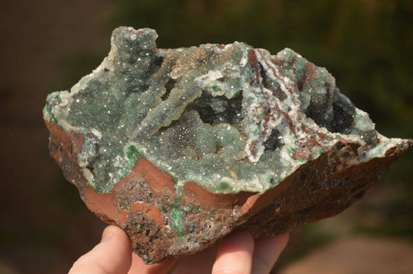 Natural Drusy Coated Ball Malachite On Dolomite Specimens  x 2 From Likasi, Congo - Toprock Gemstones and Minerals 