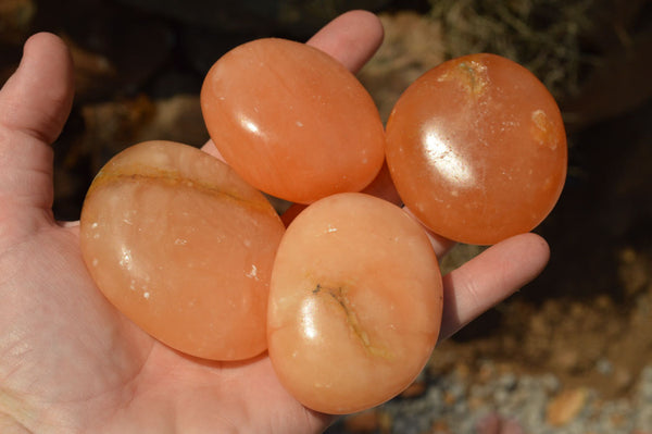 Polished Vibrant Orange Twist Calcite Palm Stones  x 12 From Madagascar - TopRock