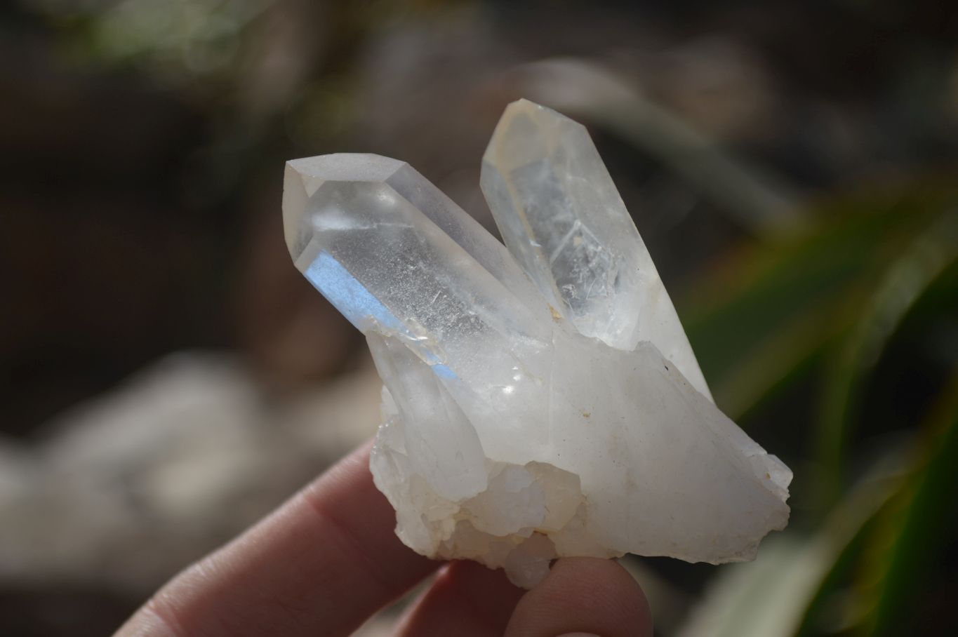 Natural Pineapple Candle Quartz Crystals  x 35 From Madagascar - Toprock Gemstones and Minerals 