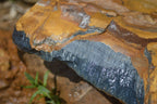 Natural Sliced Tigers Eye Specimen x 1 From Prieska, South Africa - Toprock Gemstones and Minerals 