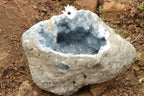 Natural XXL Blue Celestite Geode Specimen x 1 From Sakoany, Madagascar - TopRock