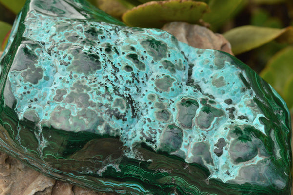 Polished Malacholla (Malachite & Chrysocolla) Free Form With Gorgeous Flower Patterns  x 1 From Congo - TopRock