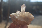 Natural Hematoid Quartz Crystals x 12 From Karoi, Zimbabwe - Toprock Gemstones and Minerals 