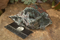 Natural Drusy Coated Ball Malachite On Dolomite Specimens  x 2 From Likasi, Congo - Toprock Gemstones and Minerals 