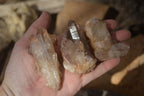 Natural Hematoid Quartz Crystals x 12 From Karoi, Zimbabwe - Toprock Gemstones and Minerals 