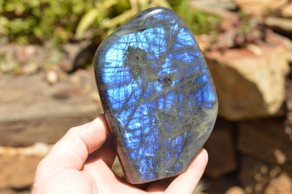 Polished Labradorite Standing Free Forms With Intense Blue Flash x 2 From Sakoany, Madagascar - TopRock