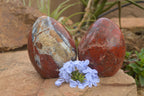 Polished New Red Jasper Standing Free Forms  x 2 From Madagascar - TopRock