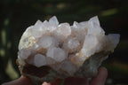 Natural Spirit Amethyst Quartz Clusters x 3 From Boekenhouthoek, South Africa - Toprock Gemstones and Minerals 