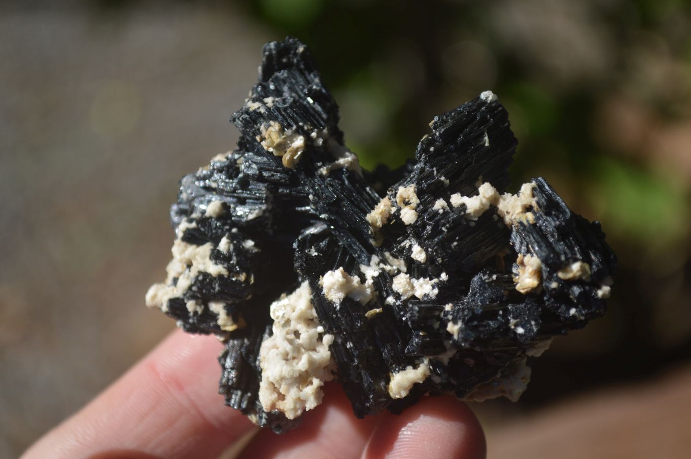 Natural Schorl Black Tourmaline Specimens x 35 From Erongo, Namibia - Toprock Gemstones and Minerals 