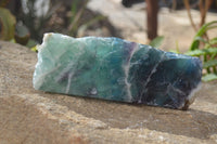 Polished Watermelon Fluorite Slices  x 2 From Uis, Namibia