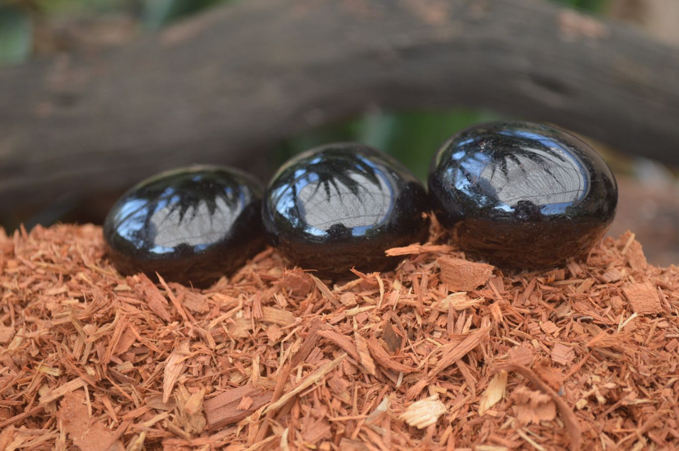 Polished Schorl Black Tourmaline Palm Stones  x 12 From Madagascar - Toprock Gemstones and Minerals 
