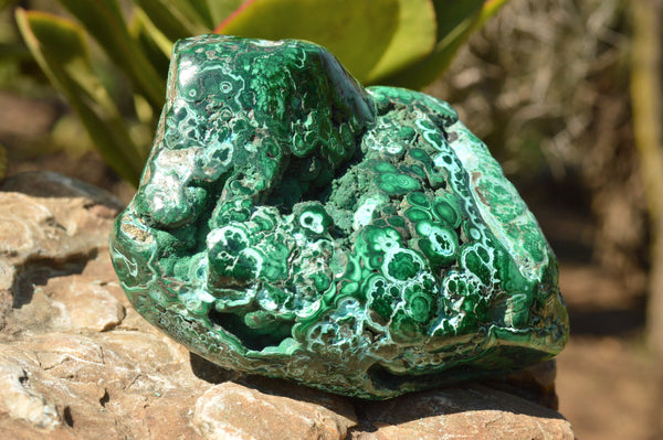 Polished Stunning Pair Of Malachite & Malacholla Free Forms  x 2 From Congo - TopRock