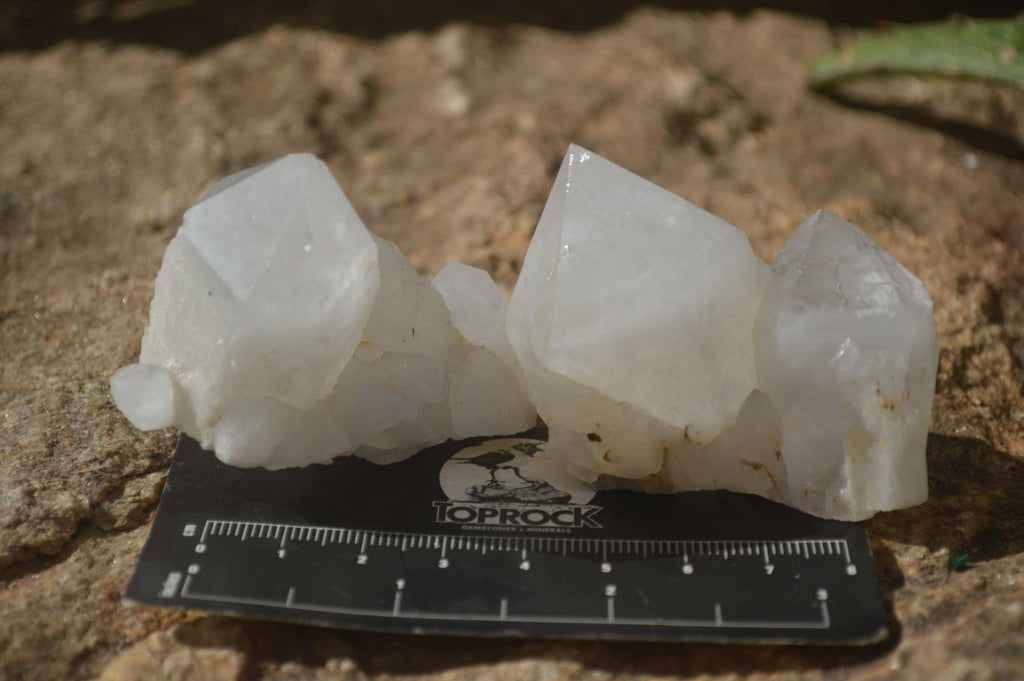 Natural Pineapple Candle Quartz Crystals  x 35 From Madagascar - Toprock Gemstones and Minerals 