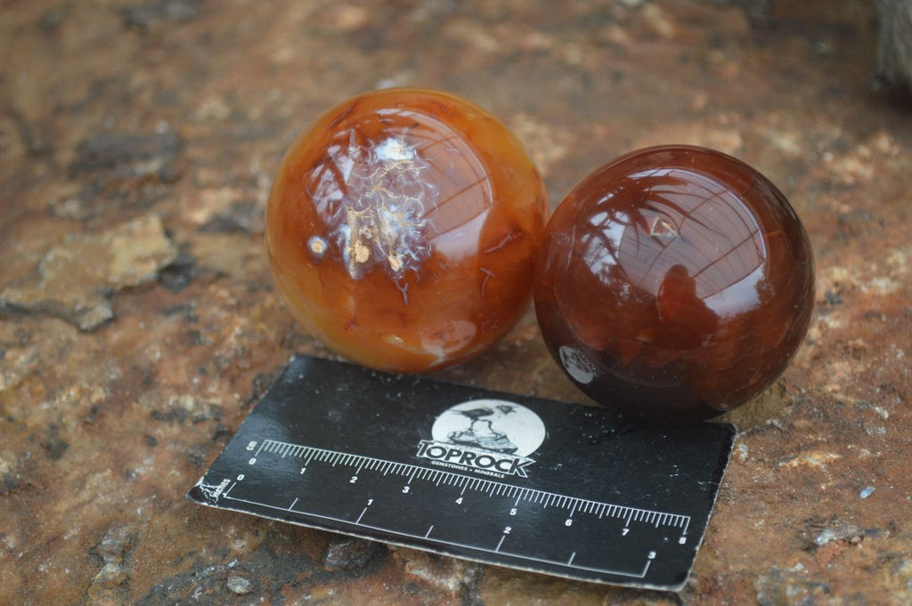 Polished Vibrant Carnelian Agate Spheres  x 5 From Madagascar - Toprock Gemstones and Minerals 