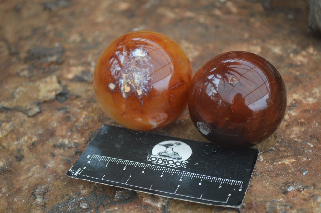 Polished Vibrant Carnelian Agate Spheres  x 5 From Madagascar - Toprock Gemstones and Minerals 