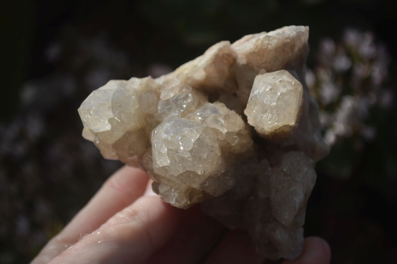 Natural Cascading Smokey Quartz Clusters x 3 From Luena, Congo - Toprock Gemstones and Minerals 
