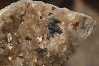 Natural Schorl Black Tourmaline Specimens x 6 From Erongo, Namibia - Toprock Gemstones and Minerals 