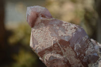 Natural Red Hematoid Quartz Specimens x 6 From Karoi, Zimbabwe - Toprock Gemstones and Minerals 