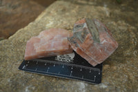 Natural New Sunset Orange Calcite Specimens  x 24 From Spitzkop, Namibia - Toprock Gemstones and Minerals 