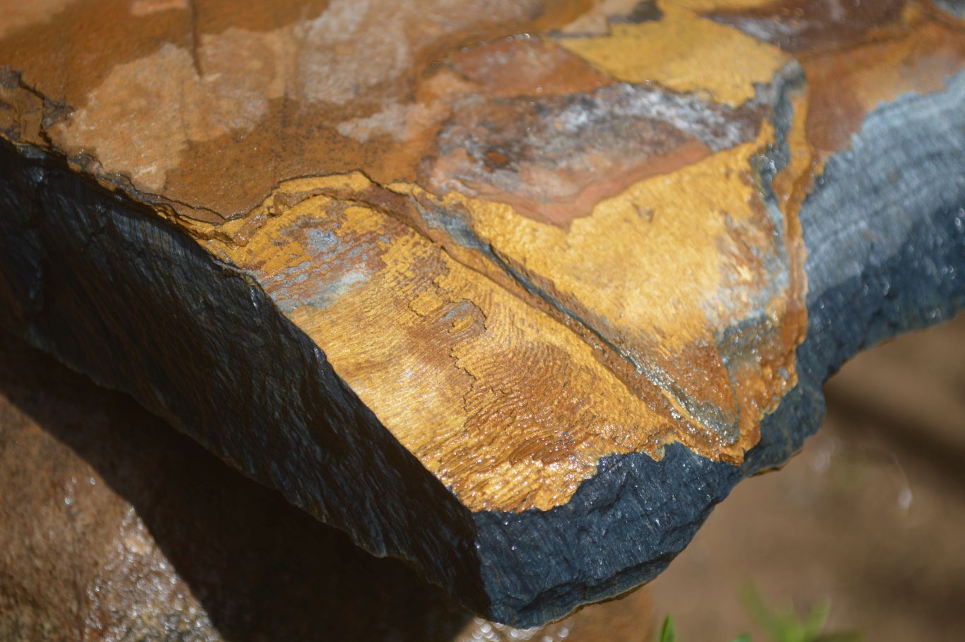 Natural Sliced Tigers Eye Specimen x 1 From Prieska, South Africa - Toprock Gemstones and Minerals 