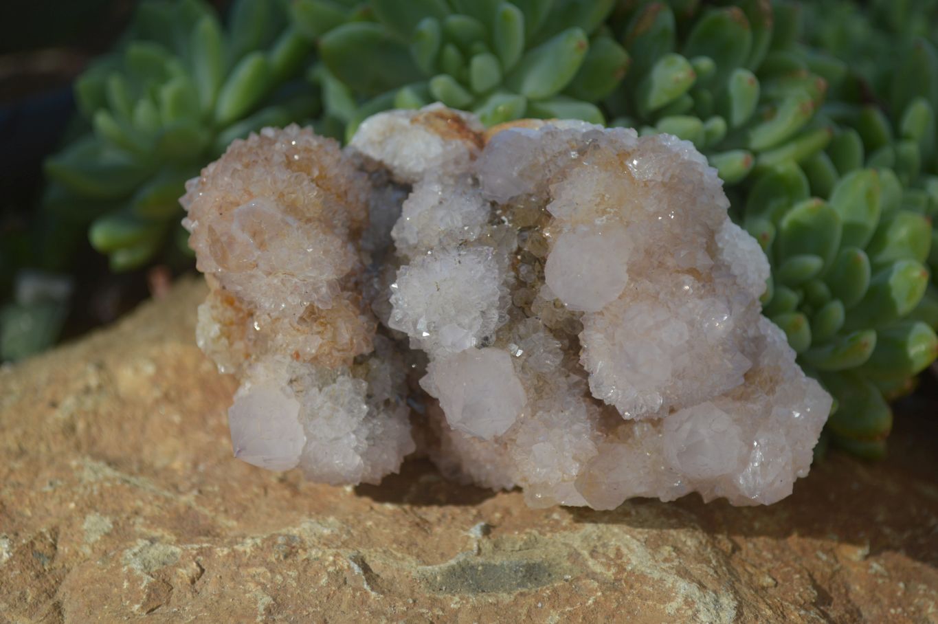 Natural Lilac Spirit Amethyst Quartz Clusters  x 6 From Boekenhouthoek, South Africa - Toprock Gemstones and Minerals 