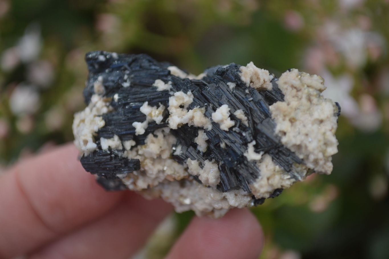 Natural Schorl Black Tourmaline Specimens x 35 From Erongo, Namibia - Toprock Gemstones and Minerals 