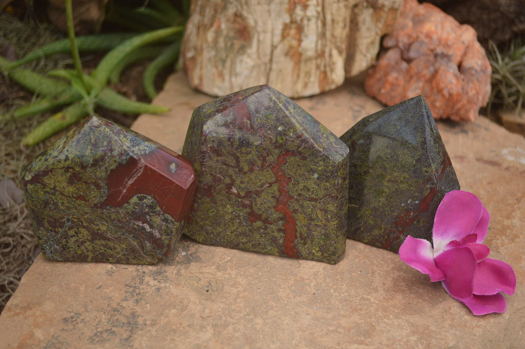 Polished Dragons (Epidote & Piedmontite) Bloodstone Points  x 3 From Tshipise, South Africa - TopRock
