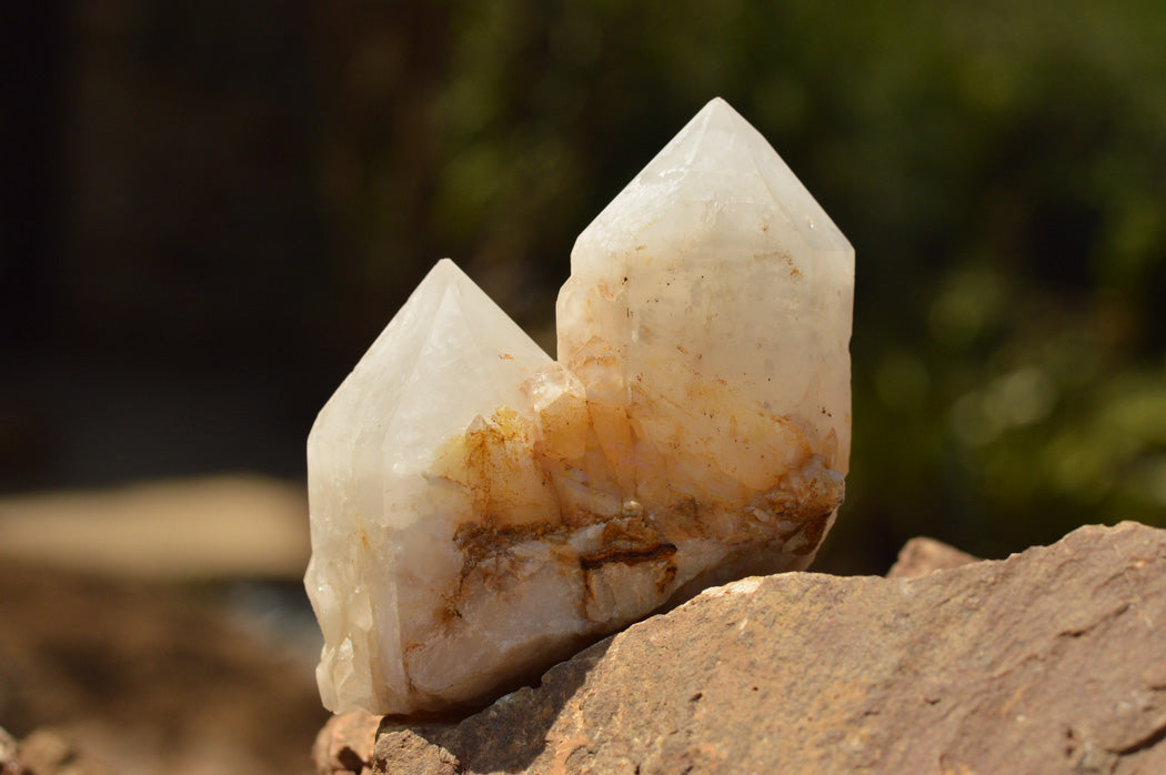 Natural Multi Terminated White Quartz Clusters  x 6 From Madagascar - TopRock