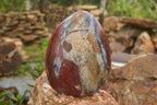Polished New Red Jasper Standing Free Forms  x 2 From Madagascar - TopRock