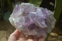 Natural Jacaranda Amethyst Clusters x 2 From Zambia - Toprock Gemstones and Minerals 
