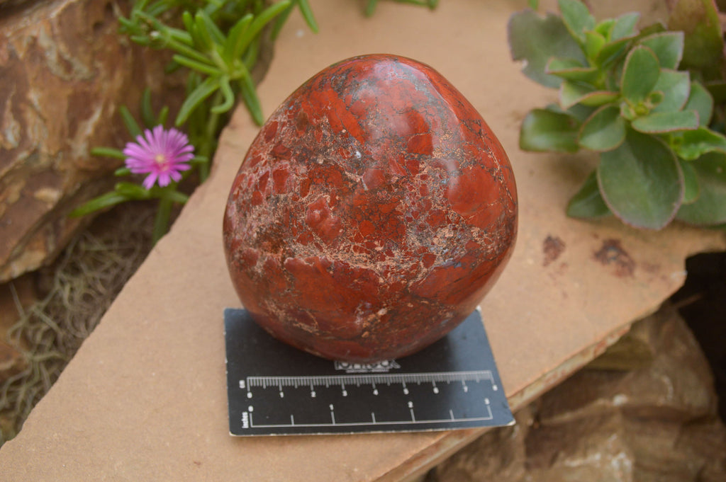 Polished New Red Jasper Standing Free Forms  x 2 From Madagascar - TopRock