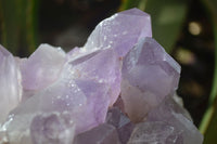 Natural Jacaranda Amethyst Clusters x 2 From Zambia - Toprock Gemstones and Minerals 