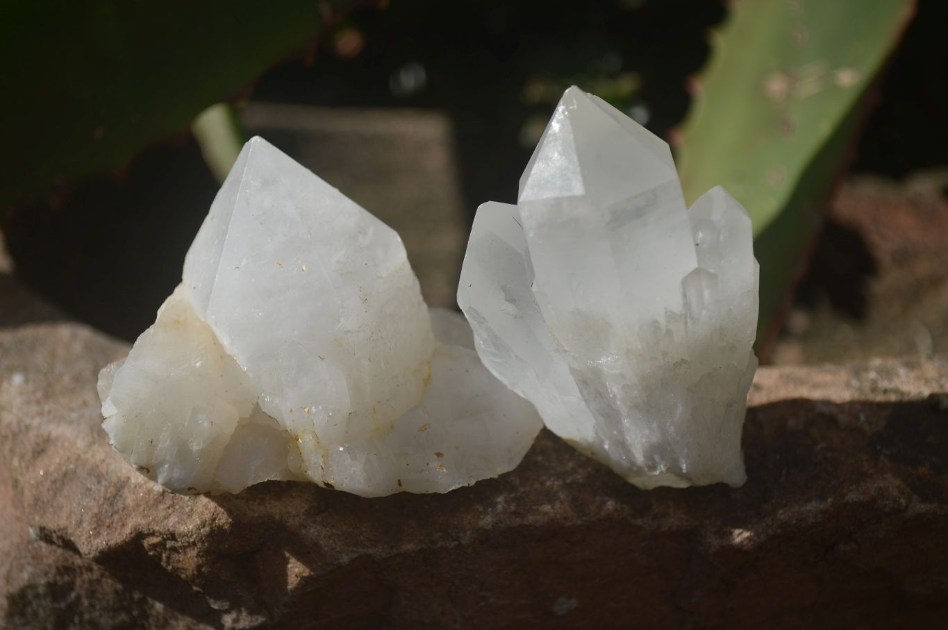 Natural Pineapple Candle Quartz Crystals  x 35 From Madagascar - Toprock Gemstones and Minerals 
