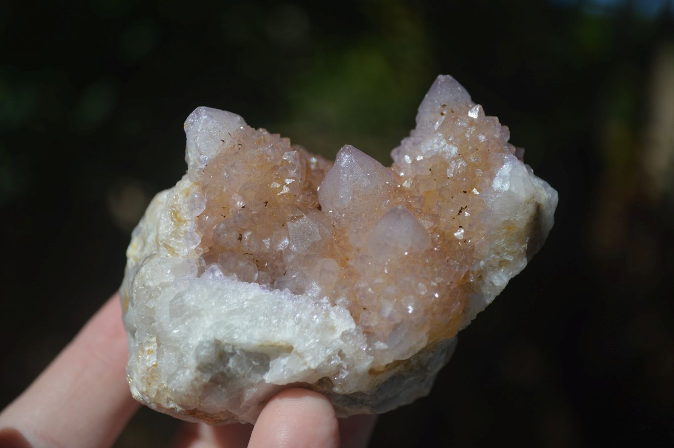Natural Mixed Spirit Quartz Clusters  x 6 From Boekenhouthoek, South Africa - Toprock Gemstones and Minerals 