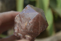 Natural Red Hematoid Quartz Specimens x 6 From Karoi, Zimbabwe - Toprock Gemstones and Minerals 